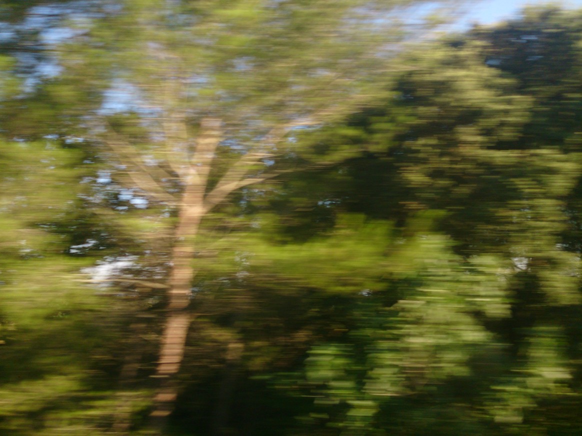 03 paysages fuyants 24